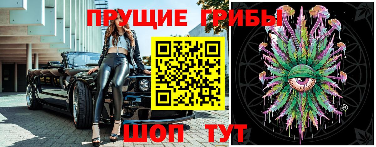 Псилоцибиновые грибы Psilocybe  Псилоцибиновые грибы Cubensis  Новозыбков  Вход с VPN 