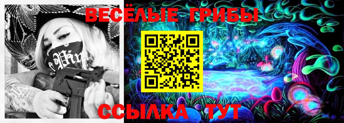 Псилоцибиновые грибы прущие грибы Новозыбков